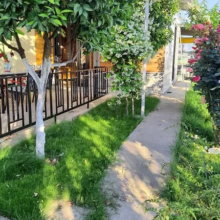 Landsted Margjelo - Twin In The Garden Shkodër