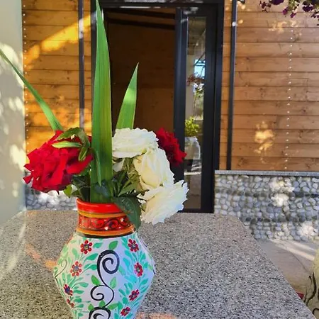 Country house With Private Garden Shkoder