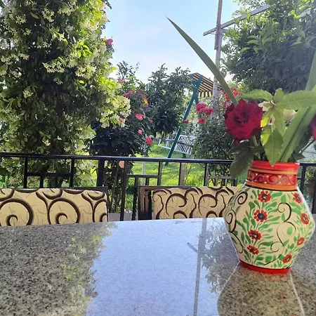 Margjelo - Twin In The Garden * Shkodër