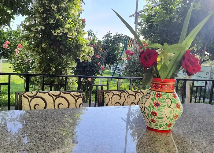 Margjelo's Twin In The Garden * شكودر